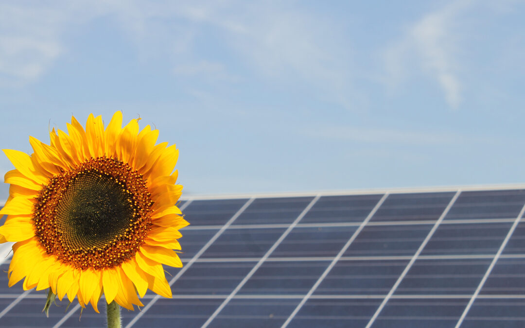 Zinsanpassung für den PV‑Invest Smart Bond 2024–2031